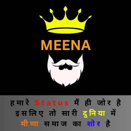 meena attitude shayari in hindi